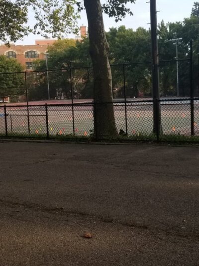 Lincoln Terrace Park Concrete Courts - Brooklyn, NY