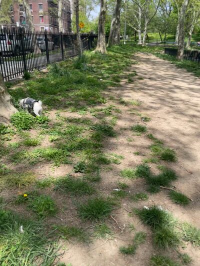Lincoln Terrace Park Dog Run - Brooklyn, NY