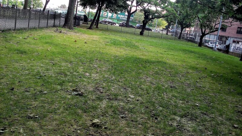 Linden Boulevard Dog Run - Brooklyn, NY