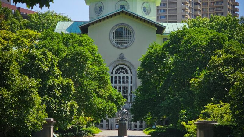 Magnolia Plaza - Brooklyn, NY