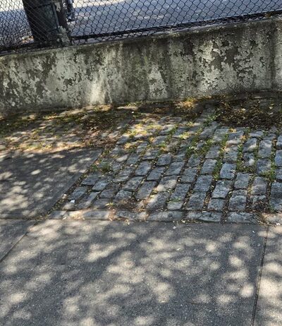 Marc And Jason's Playground - Brooklyn, NY