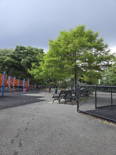 Martin Luther King Jr. Playground - Brooklyn, NY