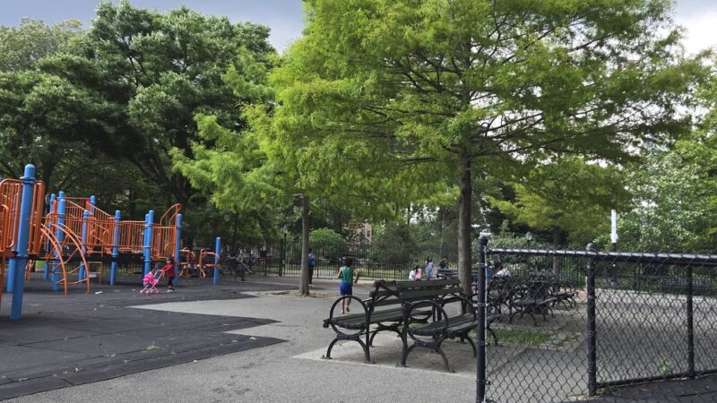 Martin Luther King Jr. Playground - Brooklyn, NY
