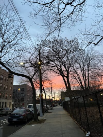 Martin Luther King Jr. Playground - Brooklyn, NY