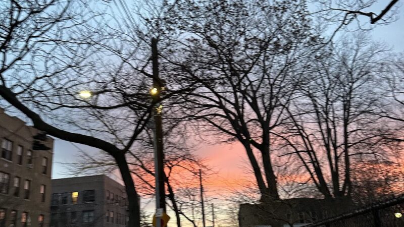 Martin Luther King Jr. Playground - Brooklyn, NY
