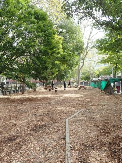 McGrowl-Lick Park Dog Run - Brooklyn, NY