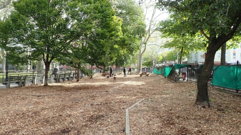 McGrowl-Lick Park Dog Run - Brooklyn, NY