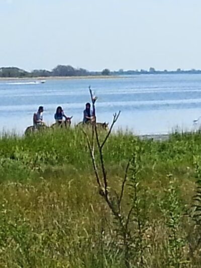 McGuire Fields - Brooklyn, NY