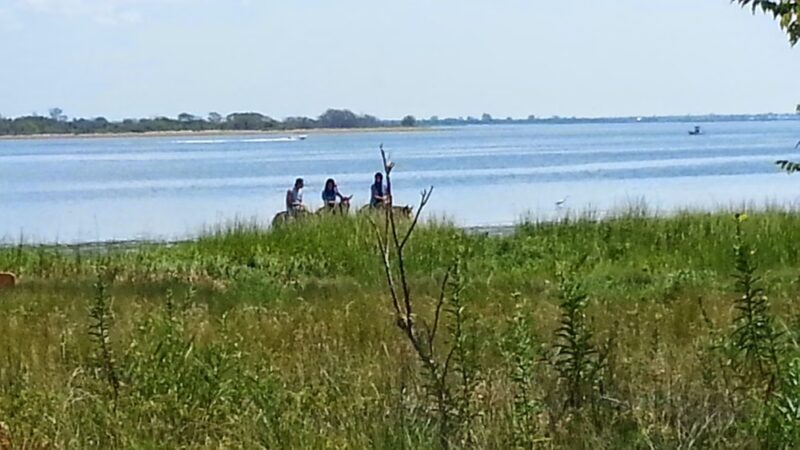 McGuire Fields - Brooklyn, NY