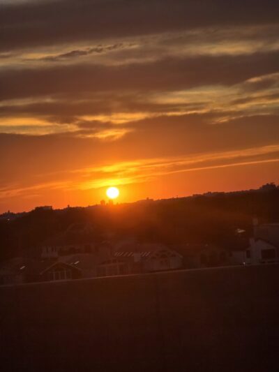 McGuire Fields - Brooklyn, NY