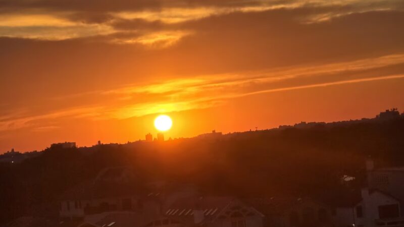 McGuire Fields - Brooklyn, NY