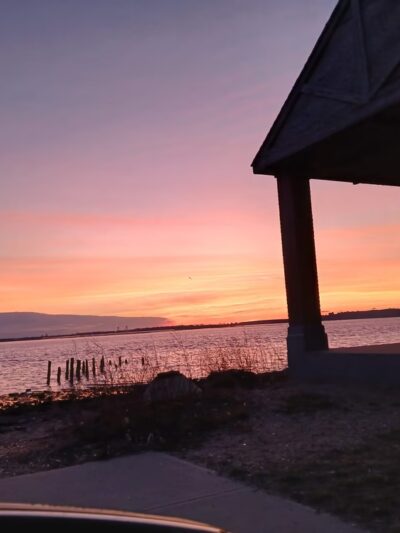 McGuire Fields - Brooklyn, NY