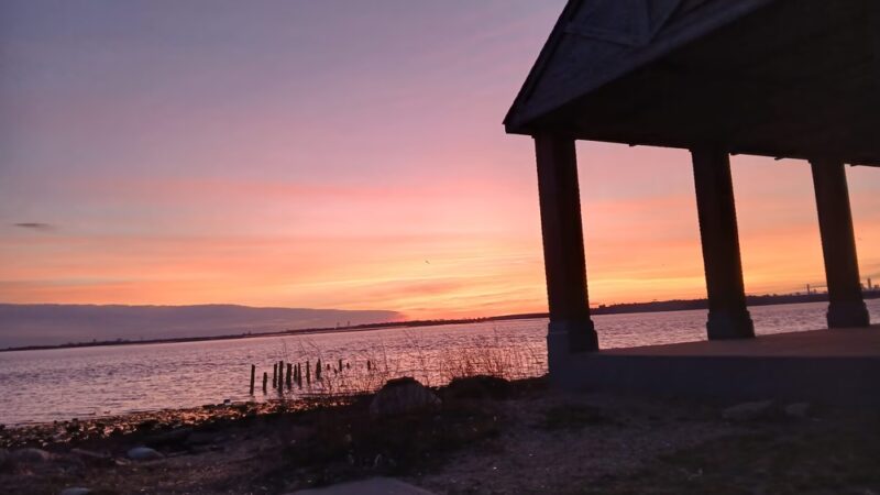 McGuire Fields - Brooklyn, NY