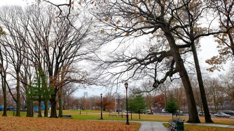 McKinley Park - Brooklyn, NY