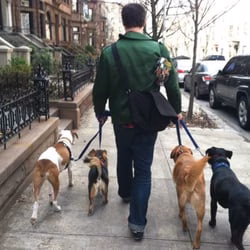 Mobile Mutts - Brooklyn, NY