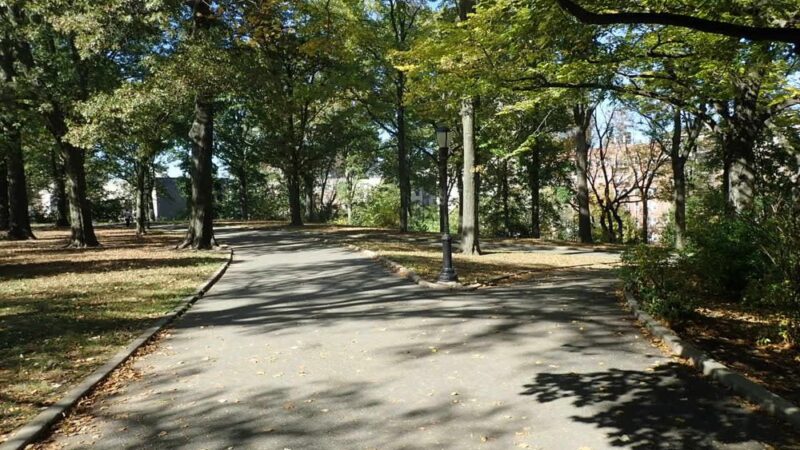 Mount Prospect Park - Brooklyn, NY