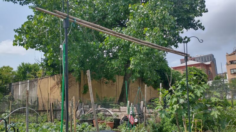 Myrtle Village Green - Brooklyn, NY