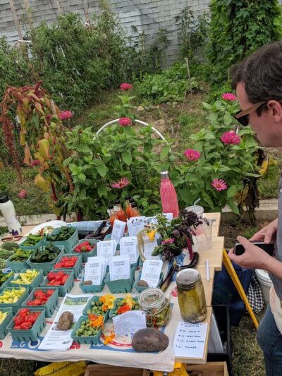 Myrtle Village Green - Brooklyn, NY