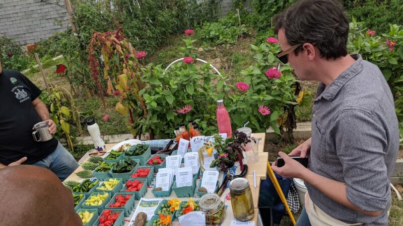 Myrtle Village Green - Brooklyn, NY