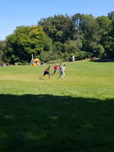 Nellie's Lawn - Brooklyn, NY