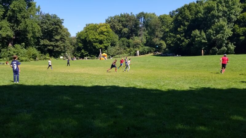 Nellie's Lawn - Brooklyn, NY