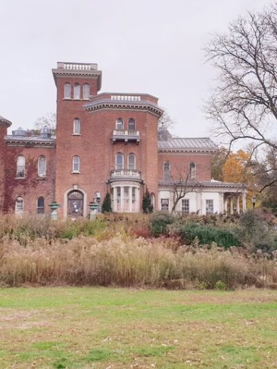 Nellie's Lawn - Brooklyn, NY