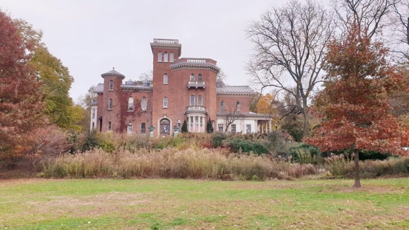 Nellie's Lawn - Brooklyn, NY