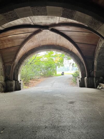 Nellie's Lawn - Brooklyn, NY