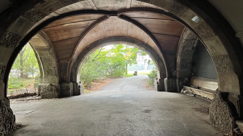 Nellie's Lawn - Brooklyn, NY