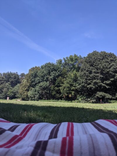 Nellie's Lawn - Brooklyn, NY