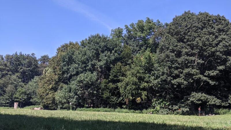 Nellie's Lawn - Brooklyn, NY