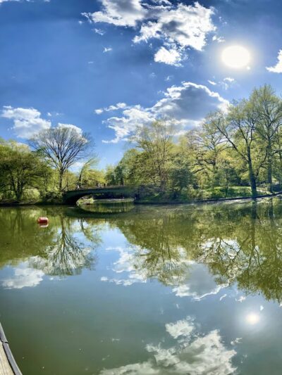 Nellie's Lawn - Brooklyn, NY