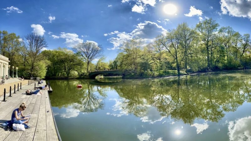 Nellie's Lawn - Brooklyn, NY