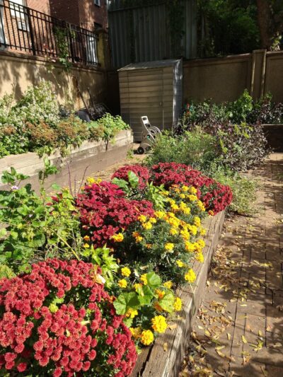 North Pacific Playground - Brooklyn, NY