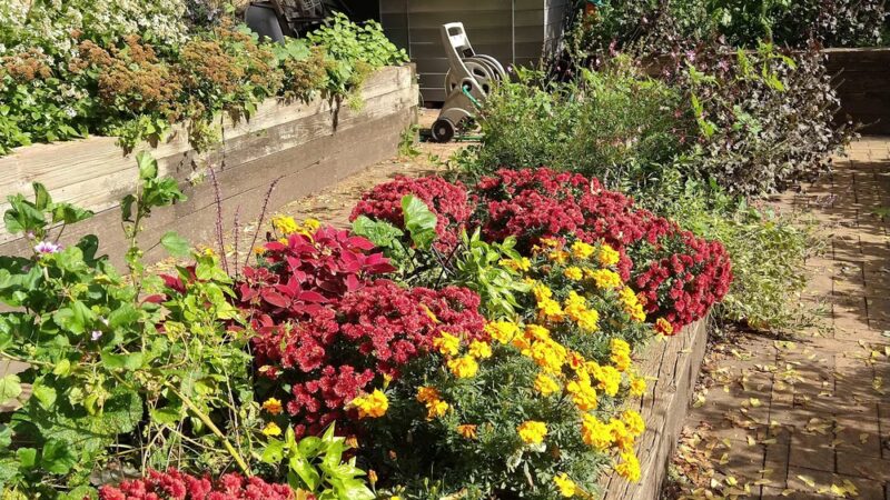 North Pacific Playground - Brooklyn, NY