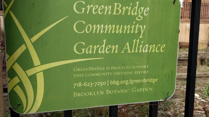 North Pacific Playground - Brooklyn, NY