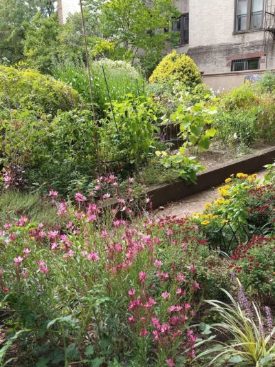 North Pacific Playground - Brooklyn, NY