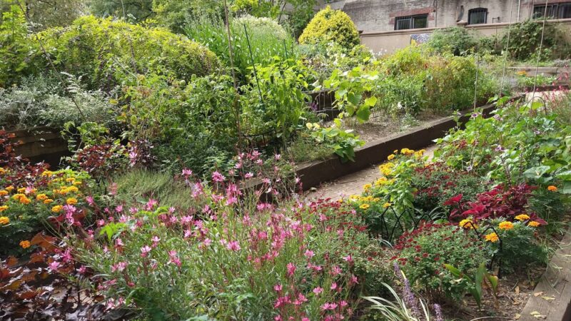 North Pacific Playground - Brooklyn, NY