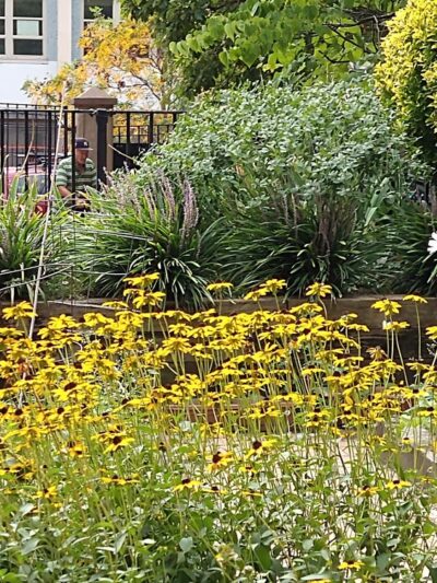North Pacific Playground - Brooklyn, NY