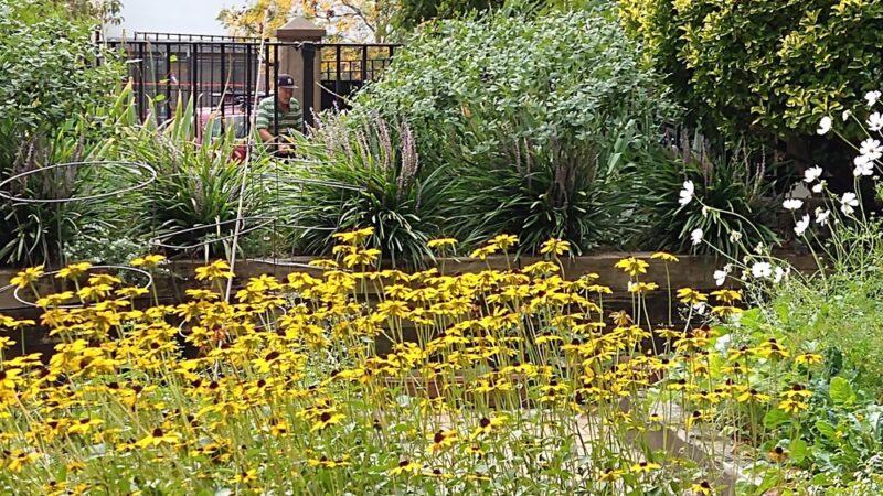 North Pacific Playground - Brooklyn, NY