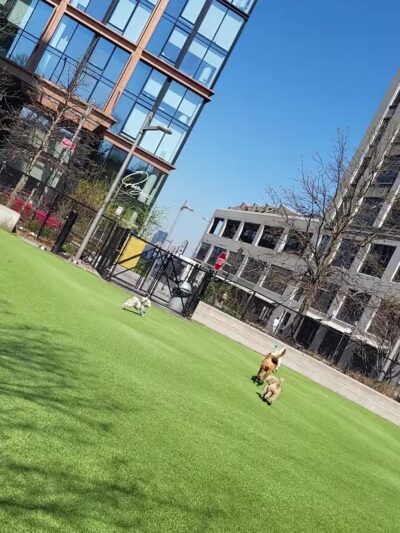 One Brooklyn Bridge Park - Brooklyn, NY