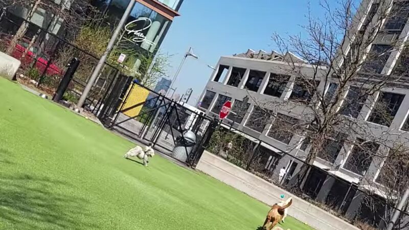 One Brooklyn Bridge Park - Brooklyn, NY