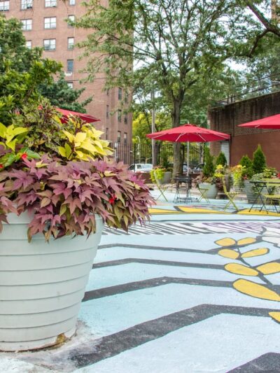 Osborn Plaza - Brooklyn, NY