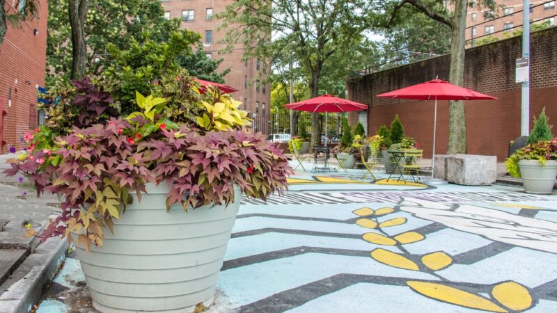 Osborn Plaza - Brooklyn, NY