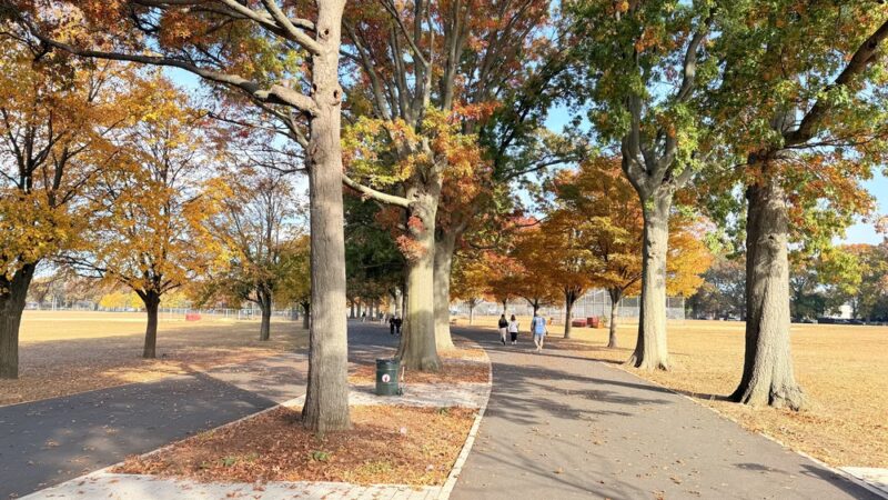 Oval Hiking Path - Brooklyn, NY