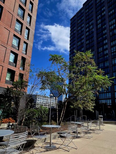 Pacific Park - Brooklyn, NY