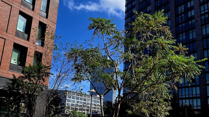 Pacific Park - Brooklyn, NY