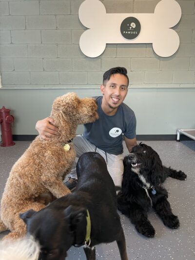 PAWSIES - Brooklyn, NY