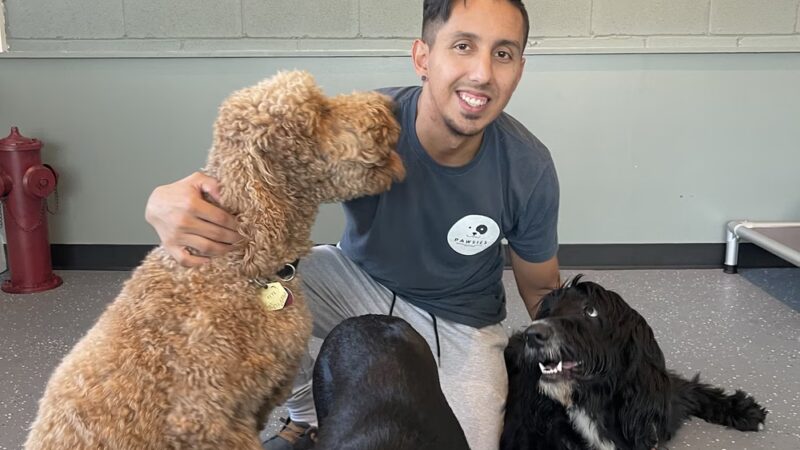 PAWSIES - Brooklyn, NY