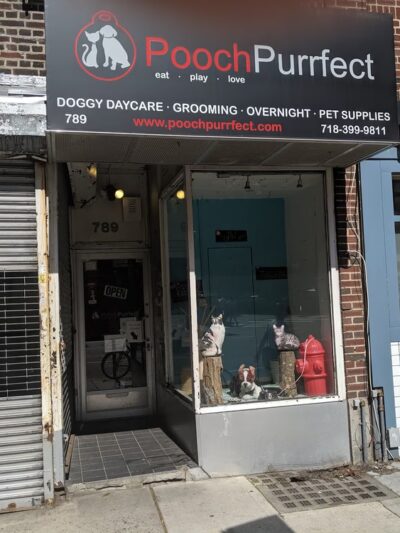 Pooch Purrfect - Brooklyn, NY